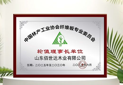 中国林协纤维板专业委员会