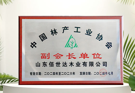 中国林产工业协会副会长单位