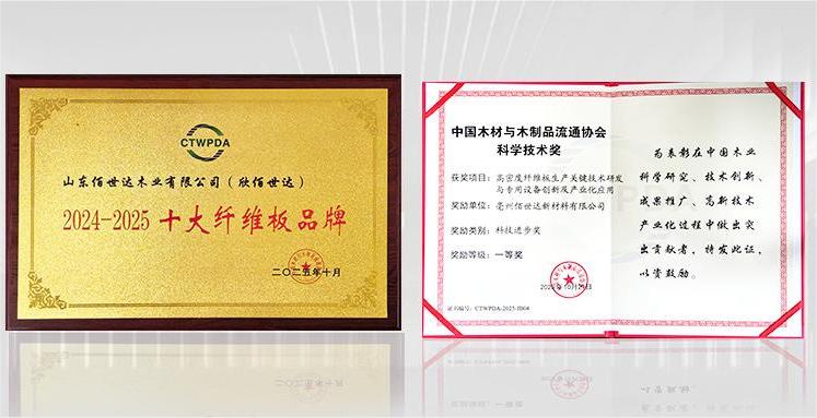 赞！佰世达集团一举荣获“科技进步一等